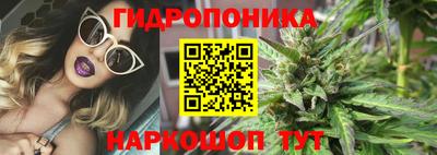 прущие крисы Нарткала